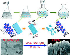 Graphical abstract: Ordered LiMPO4 (M = Fe, Mn) nanorods synthesized from NH4MPO4·H2O microplates by stress involved ion exchange for Li-ion batteries