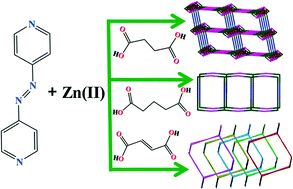 Graphical abstract: Syntheses, X-ray structures, gas adsorption and luminescent properties of three coordination polymers of Zn(ii) dicarboxylates mixed with a linear, neutral, and rigid N,N′-donor ligand
