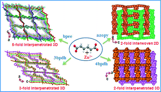Graphical abstract: Construction of 2D interwoven and 3D interpenetrated metal–organic frameworks of Zn(ii) by varying N,N′-donor spacers