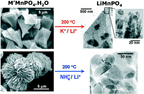 Graphical abstract: Dittmarite precursors for structure and morphology directed synthesis of lithium manganese phospho-olivine nanostructures