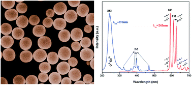 Graphical abstract: Synthesis and luminescent properties of uniform monodisperse YBO3:Eu3+/Tb3+ microspheres
