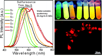 Graphical abstract: Highly luminescent water-soluble quaternary Zn–Ag–In–S quantum dots for tumor cell-targeted imaging