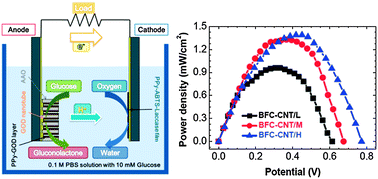 Graphical abstract: Glucose oxidase nanotube-based enzymatic biofuel cells with improved laccase biocathodes