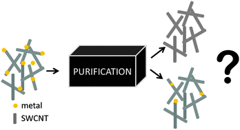 Graphical abstract: Structure and magnetic response of a residual metal catalyst in highly purified single walled carbon nanotubes
