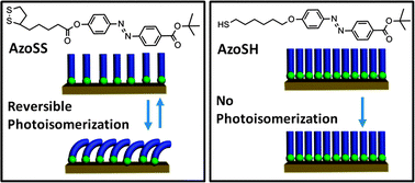 Graphical abstract: Different formation kinetics and photoisomerization behavior of self-assembled monolayers of thiols and dithiolanes bearing azobenzene moieties