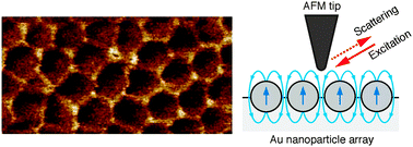 Graphical abstract: Revealing local, enhanced optical field characteristics of Au nanoparticle arrays with 10 nm gap using scattering-type scanning near-field optical microscopy