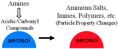 Graphical abstract: Multiphase chemistry of atmospheric amines