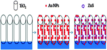 Graphical abstract: Fabrication and photoelectrochemical properties of ZnS/Au/TiO2 nanotube array films
