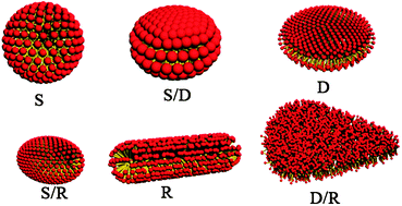 Graphical abstract: Molecular dynamics simulation of cetyltrimethylammonium bromide and sodium octyl sulfate mixtures: aggregate shape and local surfactant distribution