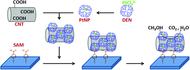 Graphical abstract: Advantages of electrodes with dendrimer-protected platinum nanoparticles and carbon nanotubes for electrochemical methanol oxidation