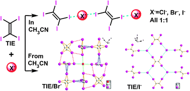 Graphical abstract: The C–I⋯X− halogen bonding of tetraiodoethylene with halide anions in solution and cocrystals investigated by experiment and calculation