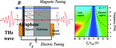 Graphical abstract: Tunable magnetoplasmons for efficient terahertz modulator and isolator by gated monolayer graphene