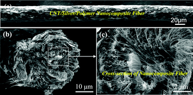 Graphical abstract: Effective reinforcement of electrical conductivity and strength of carbon nanotube fibers by silver-paste-liquid infiltration processing