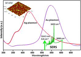 Graphical abstract: Plasmon enhanced spectroscopy