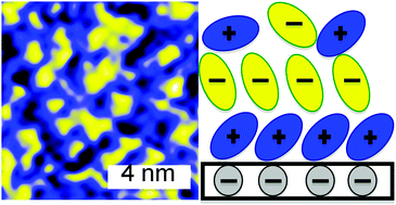 Graphical abstract: Adsorbed and near surface structure of ionic liquids at a solid interface