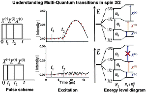 Graphical abstract: Understanding multi-quantum NMR through secular approximation