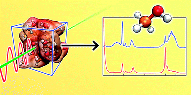 Graphical abstract: Computing vibrational spectra from ab initio molecular dynamics