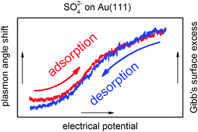 Graphical abstract: In situ determination of the surface excess upon electrochemical sulfate adsorption on Au(111) films by surface plasmon resonance