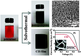 Graphical abstract: Preparation of monodispersed CuInS2 nanopompons and nanoflake films and application in dye-sensitized solar cells