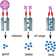 Graphical abstract: Poly(propylene imine) dendrimer caps on mesoporous silica nanoparticles for redox-responsive release: smaller is better