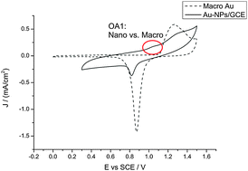 Graphical abstract: Surface oxidation of gold nanoparticles supported on a glassy carbon electrode in sulphuric acid medium: contrasts with the behaviour of ‘macro’ gold