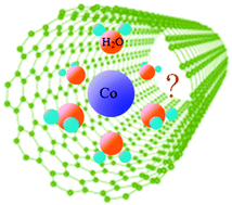 Graphical abstract: Structure of hydrated cobalt ions confined in the nanospace of single-walled carbon nanotubes