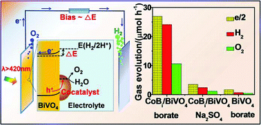 Graphical abstract: Visible light driven overall water splitting using cocatalyst/BiVO4 photoanode with minimized bias