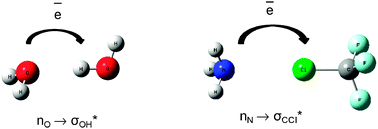 Graphical abstract: Hydrogen and halogen bonds are ruled by the same mechanisms
