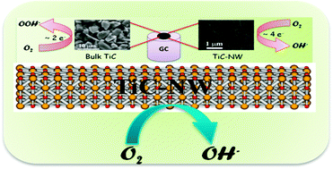 Graphical abstract: Morphology dependent oxygen reduction activity of titanium carbide: bulk vs. nanowires