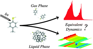 Graphical abstract: Comparing molecular photofragmentation dynamics in the gas and liquid phases