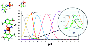 Graphical abstract: Theoretical calculations of stability constants and pKa values of metal complexes in solution: application to pyridoxamine–copper(ii) complexes and their biological implications in AGE inhibition