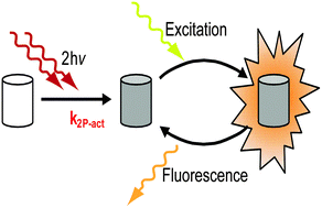 Graphical abstract: Determination of two-photon photoactivation rates of fluorescent proteins