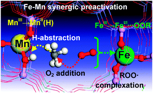 Graphical abstract: Complementary mechanistic properties of Fe- and Mn-doped aluminophosphates in the catalytic aerobic oxidation of hydrocarbons