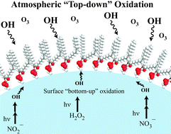 Graphical abstract: Hydroxyl radical oxidation of phospholipid-coated NaCl particles