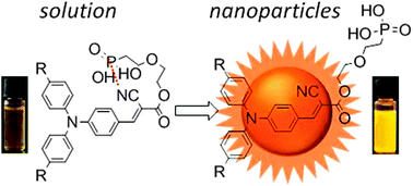 Graphical abstract: Fluorescent carboxylic and phosphonic acids: comparative photophysics from solution to organic nanoparticles
