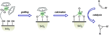 Graphical abstract: Niobium–silica catalysts for the selective epoxidation of cyclic alkenes: the generation of the active site by grafting niobocene dichloride