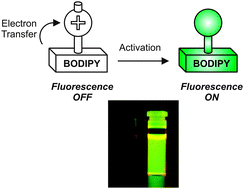 Graphical abstract: Activation of BODIPY fluorescence by the photoinduced dealkylation of a pyridinium quencher