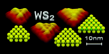 Graphical abstract: Morphology and atomic-scale structure of single-layer WS2 nanoclusters
