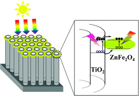 Graphical abstract: Surface photovoltage phase spectra for analysing the photogenerated charge transfer and photocatalytic activity of ZnFe2O4–TiO2 nanotube arrays
