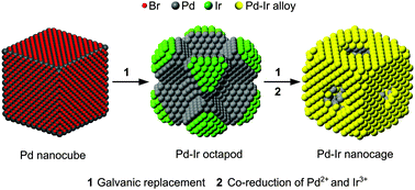Graphical abstract: Facile synthesis of Pd–Ir bimetallic octapods and nanocages through galvanic replacement and co-reduction, and their use for hydrazine decomposition