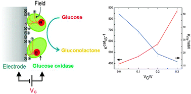Graphical abstract: Voltage-controlled enzyme-catalyzed glucose–gluconolactone conversion using a field-effect enzymatic detector