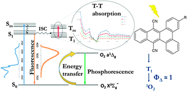 Graphical abstract: Efficient cyanoaromatic photosensitizers for singlet oxygen production: synthesis and characterization of the transient reactive species