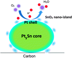 Graphical abstract: Performance and characterization of a Pt–Sn(oxidized)/C cathode catalyst with a SnO2-decorated Pt3Sn nanostructure for oxygen reduction reaction in a polymer electrolyte fuel cell