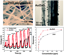 Graphical abstract: A Au-functionalized ZnO nanowire gas sensor for detection of benzene and toluene