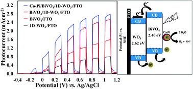 Graphical abstract: Efficient photoelectrochemical water oxidation over cobalt-phosphate (Co-Pi) catalyst modified BiVO4/1D-WO3 heterojunction electrodes