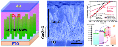 Graphical abstract: Ga doping to significantly improve the performance of all-electrochemically fabricated Cu2O–ZnO nanowire solar cells