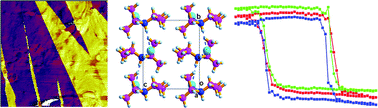 Graphical abstract: Molecular ferroelectrics: where electronics meet biology