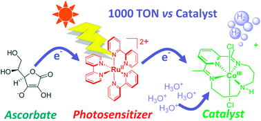Graphical abstract: Efficient photocatalytic hydrogen production in water using a cobalt(iii) tetraaza-macrocyclic catalyst: electrochemical generation of the low-valent Co(i) species and its reactivity toward proton reduction