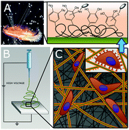 Graphical abstract: Mussel inspired surface functionalization of electrospun nanofibers for bio-applications