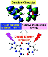 Graphical abstract: Theoretical exploration of structures and electronic properties of double-electron oxidized guanine–cytosine base pairs with intriguing radical–radical interactions